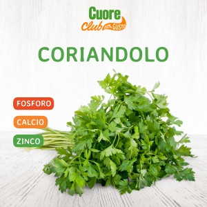 CC-IG-PostIngrediente-Coriandolo-1200x1200px