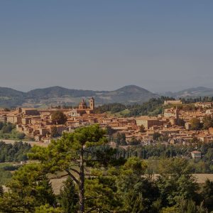 Urbino